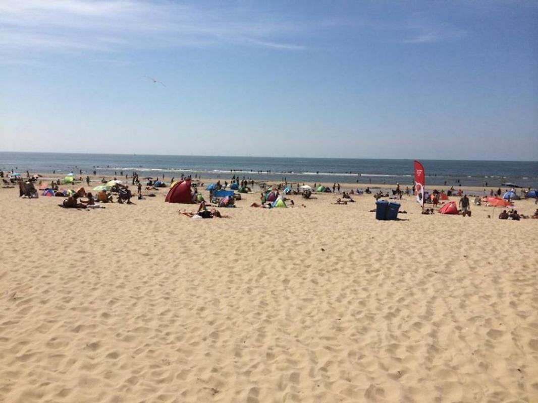 Willa 'T Heilige Pad Egmond aan Zee Zewnętrze zdjęcie
